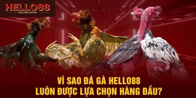 Những lưu ý thành viên không nên bỏ qua